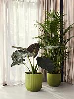 Кашпо Vibes fold round fern green D39 H36 см