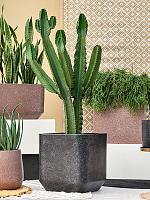 Кашпо Baq terrazzo rounded cube black L55 W55 H56 см