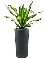 Кашпо Grigio vase tall anthracite D36 H68 см