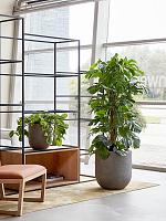 Кашпо Baq nucast couple elephant grey (с техническим горшком) D31 H35 см