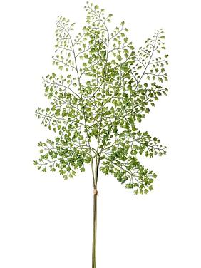 Ветка Адиантума (пучок) зеленая искусственная Ветка Адиантума (пучок) зеленая искусственная