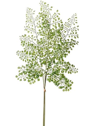 Ветка Адиантума (пучок) зеленая искусственная Ветка Адиантума (пучок) зеленая искусственная