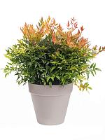 Кашпо Loft urban round with wheels warm grey D39 H35 см Кашпо Loft urban round with wheels warm grey D39 H35 см