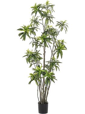Драцена многоствольная искусственная Драцена многоствольная искусственная