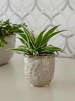 Кашпо Brian pot ivory D18 H17 см Кашпо Brian pot ivory D18 H17 см