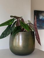 Кашпо Esra pot shiny green D22 H20 см