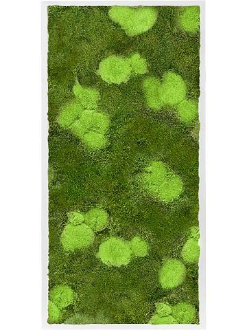 Картина из мха mdf ral 9010 satin gloss 30% ball- and 70% flat moss Картина из мха mdf ral 9010 satin gloss 30% ball- and 70% flat moss