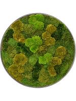 Картина из мха nova frame natural-concrete 20% flat and 80% exclusive moss (mix) D60 H5 см