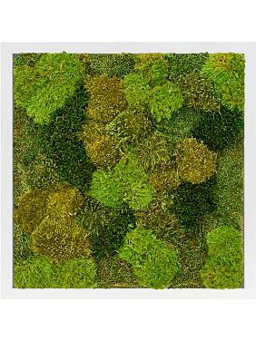 Картина из мха mdf ral 9010 satin gloss 20% flat and 80% exclusive moss (mix)