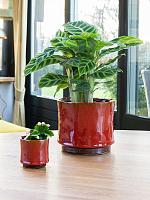 Кашпо Nolan pot red D19 H17 см