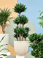 Кашпо Baq raindrop couple beige D44 H43 см