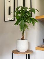 Кашпо Femke pot grey (набор 4 шт) D43 H41 см