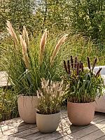 Кашпо Sereh round nordic green D30 H25 см