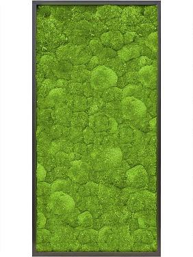 Картина из мха mdf ral 9005 satin gloss 100% ball moss Картина из мха mdf ral 9005 satin gloss 100% ball moss