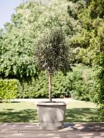 Кашпо Amiga round mushroom beige D30 H20 см