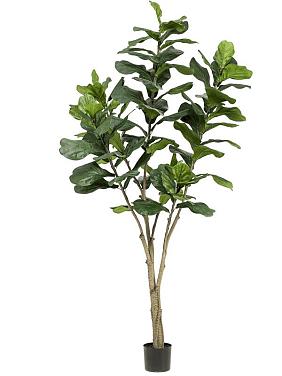 Фикус Лирата искусственный