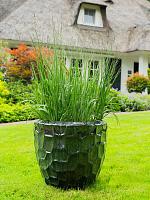 Кашпо Cascara pot holly green (набор 2 шт) D54 H49 см Кашпо Cascara pot holly green (набор 2 шт) D54 H49 см