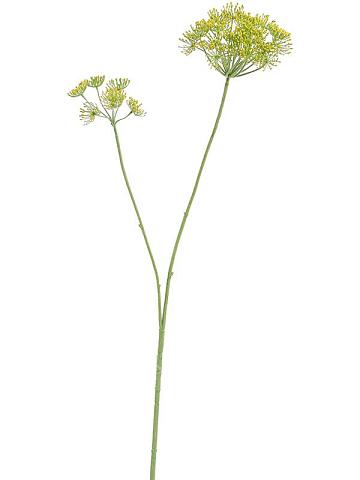 Укроп цветущий искусственный Укроп цветущий искусственный