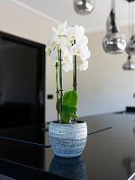 Кашпо Manuel pot shiny grey D16 H13 см