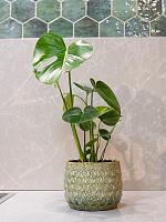 Кашпо Debby pot thyme D15 H14 см