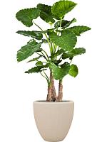 Кашпо Baq polystone plain couple natural (с техническим горшком) D50 H50 см