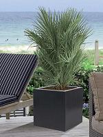 Кашпо Vepo adenia square anthracite L100 W100 H100 см