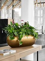 Кашпо Baq metallic silver leaf boat matt honey L56 W23 H20 см Кашпо Baq metallic silver leaf boat matt honey L56 W23 H20 см