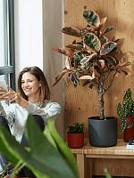 Кашпо B.for soft round anthracite D25 H23 см