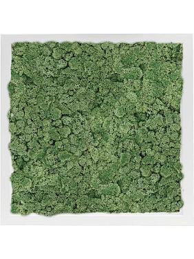 Картина из мха mdf ral 9010 satin gloss 100% reindeer moss (moss green) Картина из мха mdf ral 9010 satin gloss 100% reindeer moss (moss green)