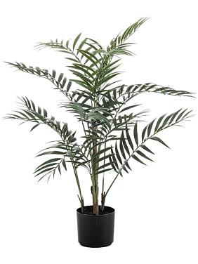 Пальма Хамедорея искусственная