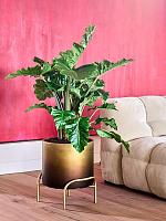 Кашпо Baq gradient elevated cylinder low matt honey ( + подставка на ножках) D40 H43 см