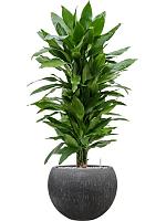 Кашпо Baq raindrop globe anthracite D42 H30 см