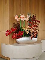 Кашпо Baq metallic silver leaf boat matt light champagne L75 W30 H25 см Кашпо Baq metallic silver leaf boat matt light champagne L75 W30 H25 см