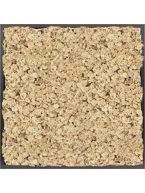 Картина из мха mdf ral 9005 satin gloss 100% reindeer moss (natural) Картина из мха mdf ral 9005 satin gloss 100% reindeer moss (natural)