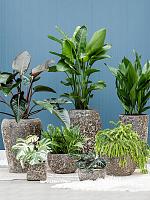 Кашпо Baq lava balloon relic black D49 H43 см