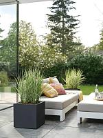 Кашпо Vivo next square living black L30 W30 H25 см