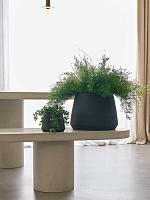 Кашпо Pumpkin orchidpot black D15 H12 см