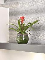 Кашпо Charlotte pot green D15 H13 см