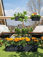 Кашпо Artstone ella balcony black L74 W17 H17 см