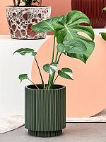 Кашпо Capi nature groove special vase cylinder green D19 H21 см Кашпо Capi nature groove special vase cylinder green D19 H21 см