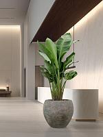 Кашпо Baq sandora balloon green D60 H55 см