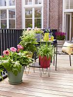 Кашпо Loft urban bowl lavender lilac D35 H20 см