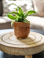 Кашпо Nona pot horizon D14 H13 см