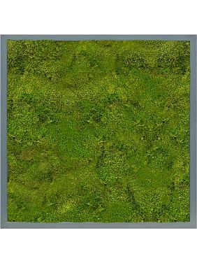 Картина из мха mdf ral 7016 satin gloss 100% flat moss Картина из мха mdf ral 7016 satin gloss 100% flat moss