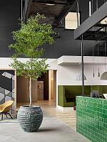 Кашпо Baq lava balloon relic jade D85 H80 см Кашпо Baq lava balloon relic jade D85 H80 см