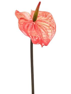 Цветок Антуриума оранжевый искусственный