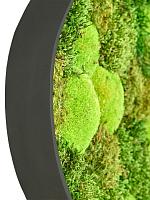 Картина из мха organic frame #1 earth mos (mix) L40 W35 H5 см