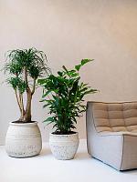 Кашпо Mediterranean athena l chalk white D53 H45 см