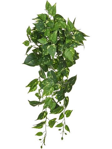 Потос ампельный искусственный Потос ампельный искусственный
