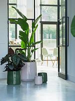 Кашпо Common pot shiny dark green D38 H36 см